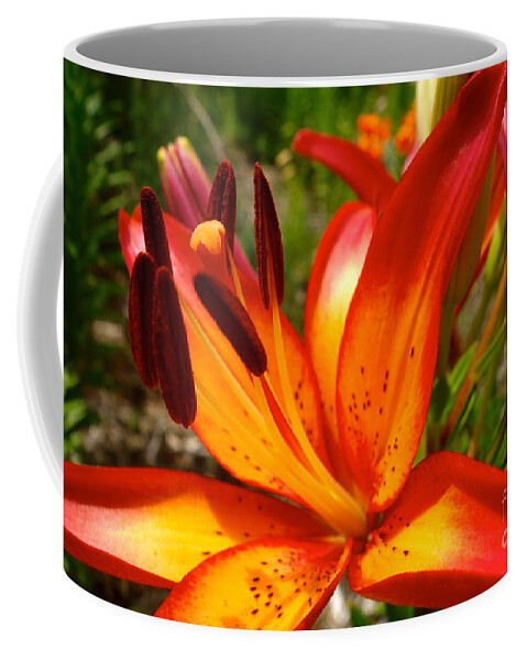 Royal Sunset Coffee Mug featuring the photograph Royal Sunset Lily by Jacqueline Athmann
