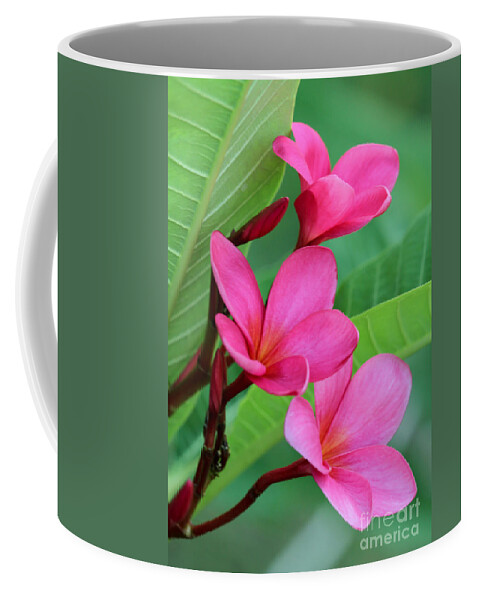 Amazing Coffee Mug featuring the photograph Ruby Red Frangipani by Sabrina L Ryan
