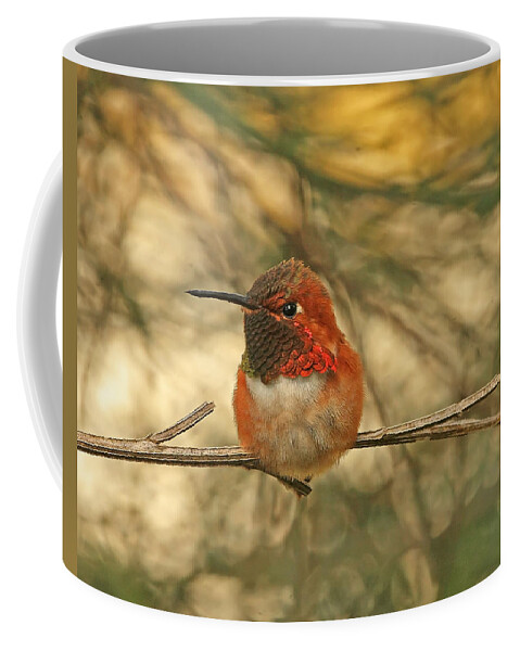 Hummingbirds Coffee Mug featuring the photograph Rufous Hummingbird Sitting by Peggy Collins