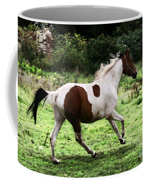 Pinto Coffee Mug featuring the photograph Running Pinto horse by Ang El