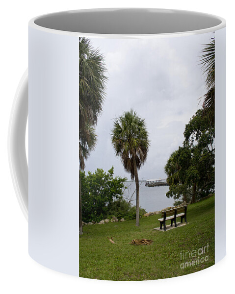 Ryckman Coffee Mug featuring the photograph Ryckman Park in Melbourne Beach Florida by Allan Hughes