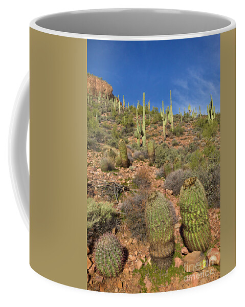00559179 Coffee Mug featuring the photograph Saguaro And Barrel Cacti Tonto N M by Yva Momatiuk John Eastcott