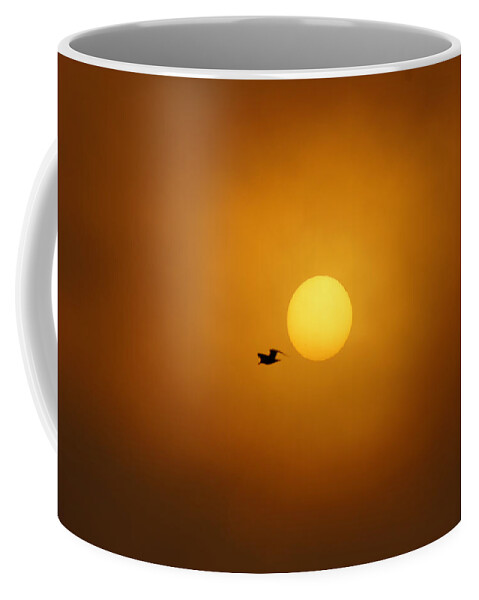 Sunrise Coffee Mug featuring the photograph Sailing Past the Sun by Bill Pevlor