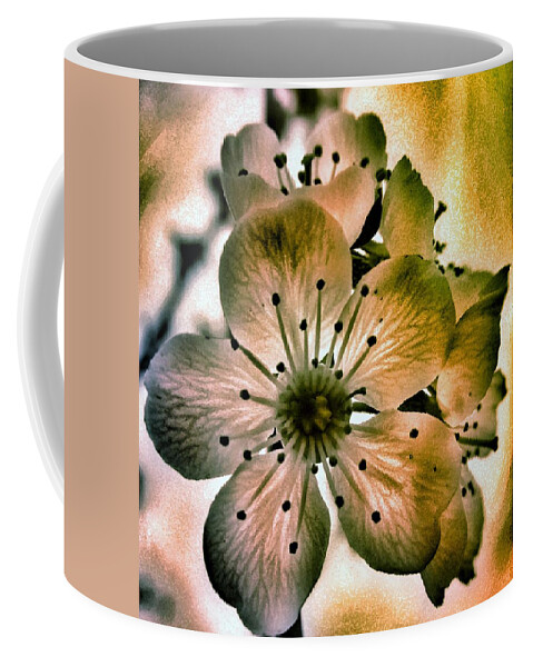 Cherry Coffee Mug featuring the photograph Sakura - Cherry Blossom by Marianna Mills