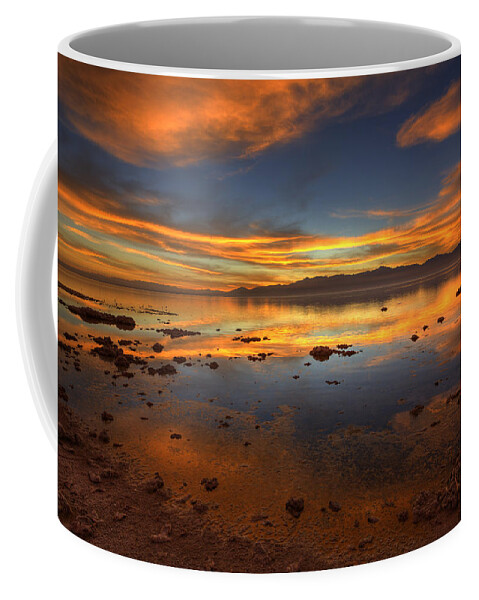 Desert Coffee Mug featuring the photograph Salton Sea Color by Peter Tellone