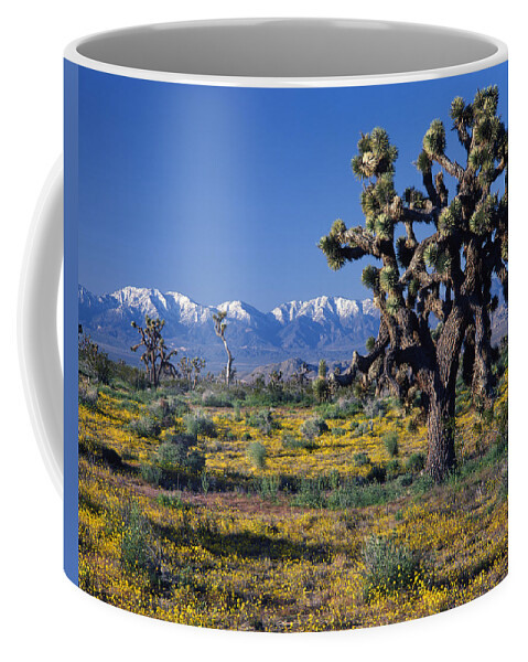 San Gabriel Mountains Coffee Mug featuring the photograph 1B6804-San Gabriel Mnts from Antelope Valley by Ed Cooper Photography