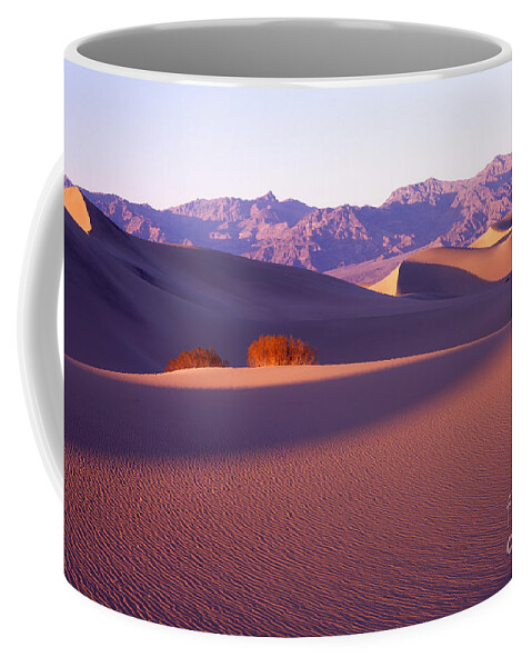 Landscape Coffee Mug featuring the photograph Sand Dunes in Death Valley by Benedict Heekwan Yang