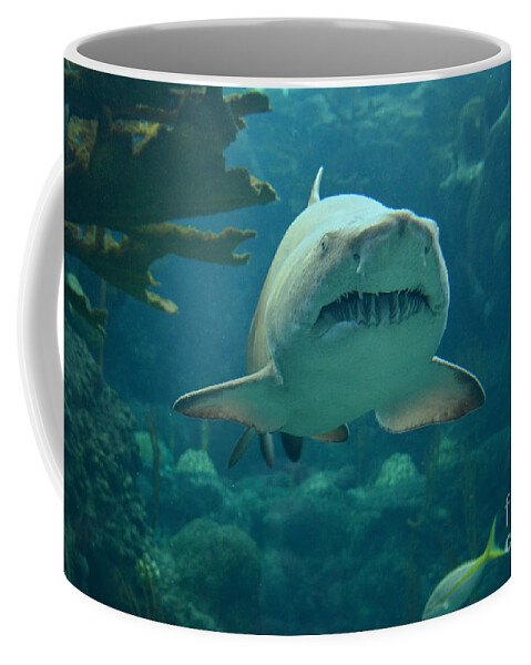 Sand Shark Coffee Mug featuring the photograph Sand Shark by Robert Meanor