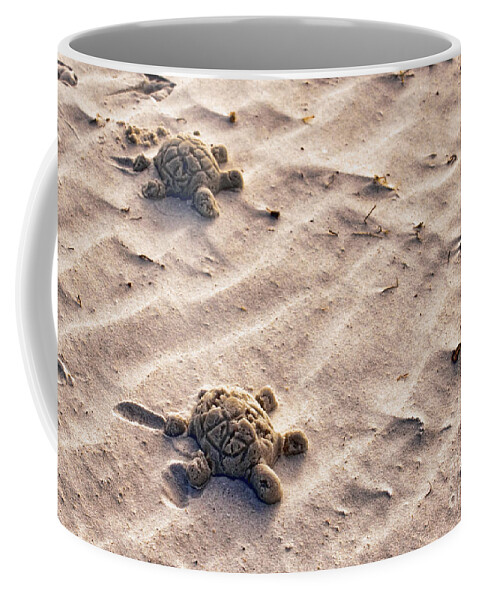 Top Artist Coffee Mug featuring the photograph Sand Turtles by Norman Gabitzsch