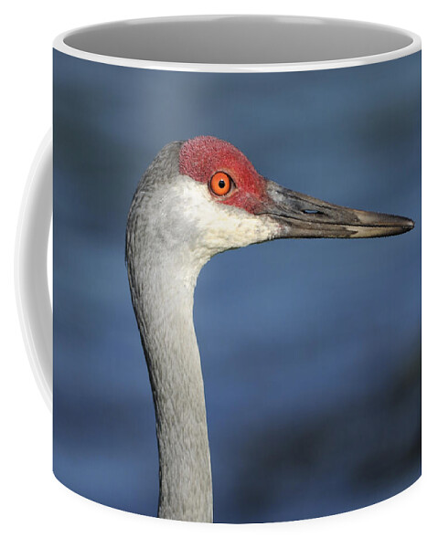 Crane Coffee Mug featuring the photograph Sandhill Crane in Profile by Bradford Martin