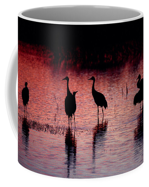 Birds Coffee Mug featuring the photograph Sandhill Cranes - Bosque del Apache - New Mexico by Steven Ralser