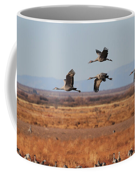 Birds Coffee Mug featuring the photograph Sandhills At Whitewater Draw by Steve Wolfe