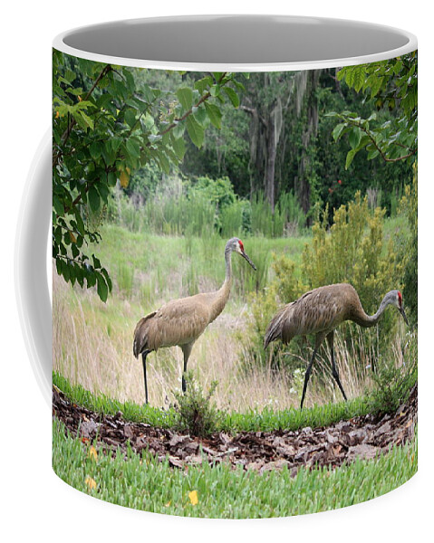 Sandhill Crane Coffee Mug featuring the photograph Sandhills through the Crepe Myrtles by Carol Groenen