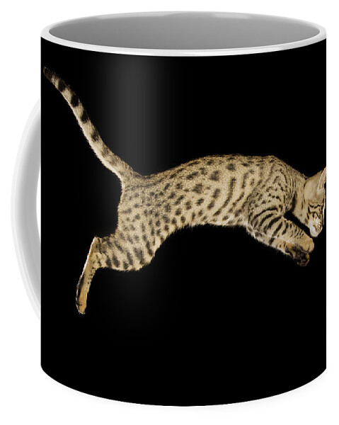 Savannah Cat Coffee Mug featuring the photograph Savannah Cat by Terry Whittaker