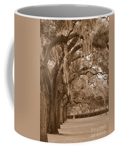 Savannah Coffee Mug featuring the photograph Savannah Sepia - Emmet Park by Carol Groenen