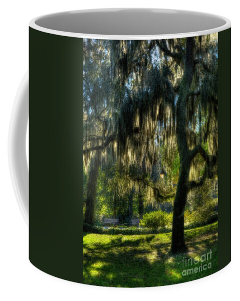 Savannah Coffee Mug featuring the photograph Savannah Sunshine by Mel Steinhauer
