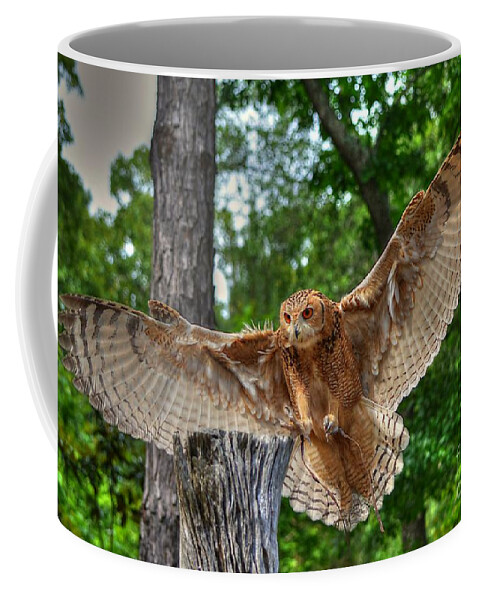 Owl Coffee Mug featuring the photograph Savigney's Eagle Owl Adult by Kathy Baccari