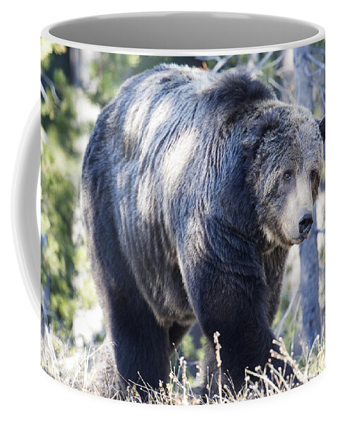 Grizzly Bear Coffee Mug featuring the photograph Scarface by Deby Dixon