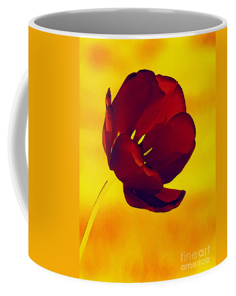 Tulip Coffee Mug featuring the photograph Scarlet Tulip At Sunset by Sharon Woerner