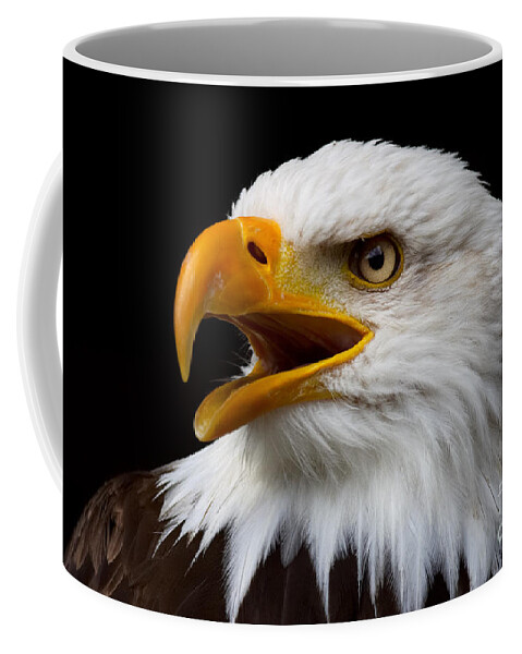 Portrait Coffee Mug featuring the photograph Screaming Bald Eagle by Nick Biemans