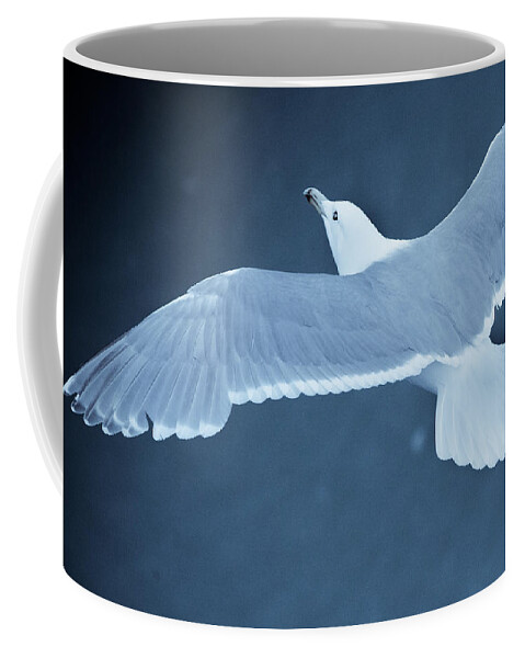 Sea Gull Coffee Mug featuring the photograph Sea Gull Over Icy Water by John Magyar Photography