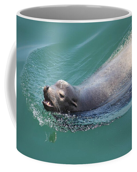 California Coffee Mug featuring the photograph Sea lion by Anthony Trillo