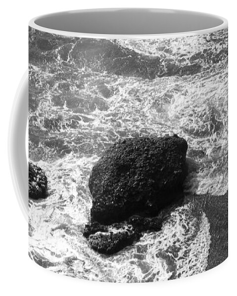 Point Lobos Coffee Mug featuring the photograph Sea Lion Cove by James B Toy