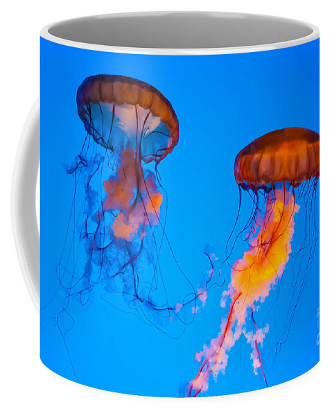 Jellyfish Coffee Mug featuring the photograph Sea Nettles by Anthony Sacco