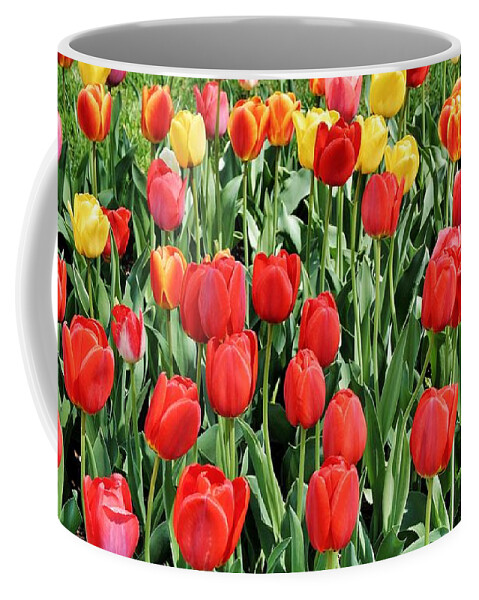 Tulips Coffee Mug featuring the photograph Sea of Color by Jean Goodwin Brooks