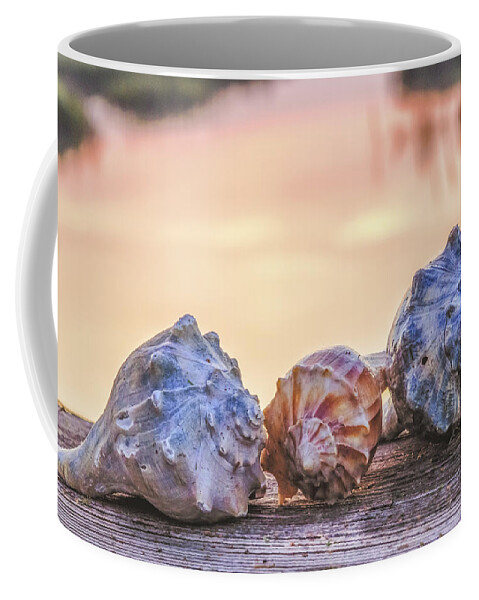 Shell Coffee Mug featuring the photograph Sea Shells Image Art by Jo Ann Tomaselli