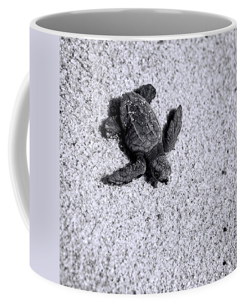 Los Cabos Coffee Mug featuring the photograph Sea Turtle in Black and White by Sebastian Musial
