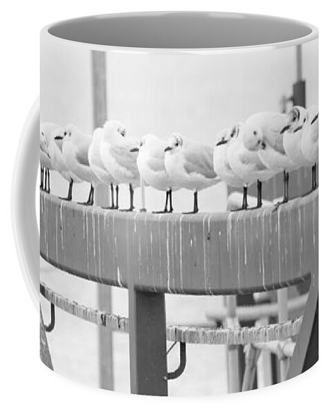 Birds Coffee Mug featuring the photograph Seagulls in a Row by Chevy Fleet