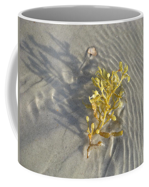 Landscape Coffee Mug featuring the photograph Seaweed Sand by Ellen Meakin