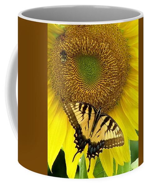 Yellow Sunflowers Coffee Mug featuring the photograph Secret Lives of Sunflowers by Kim Bemis