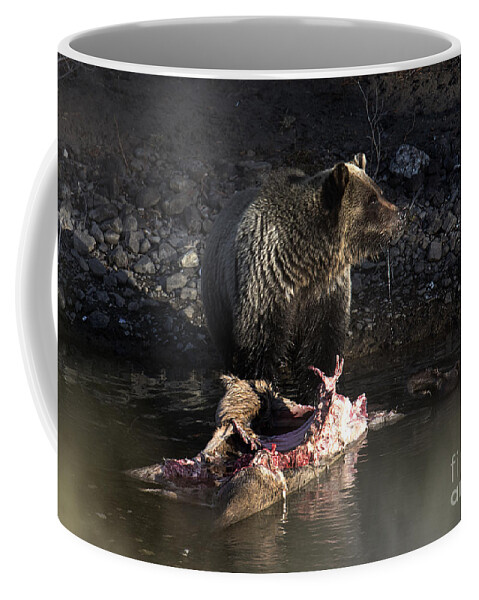 Grizzly Bear Coffee Mug featuring the photograph Secrets by Deby Dixon