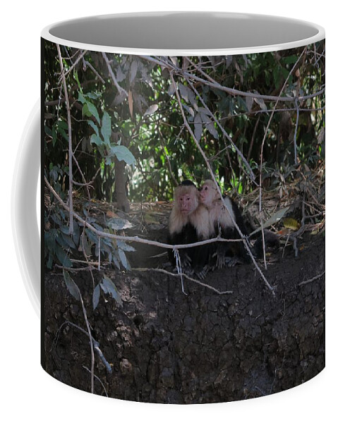 Capuchin Coffee Mug featuring the photograph Secrets by Jessica Myscofski