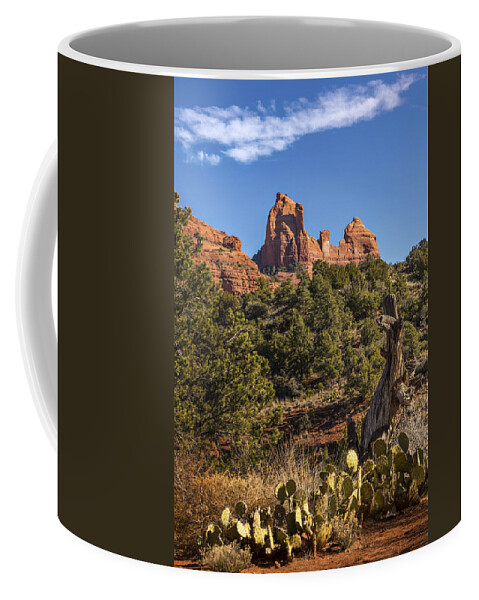 Sedona Coffee Mug featuring the photograph Sedona Cactus and Sandstone by Mary Jo Allen