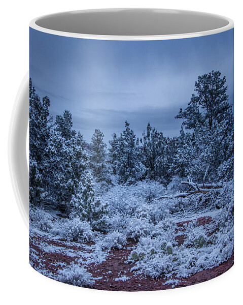 Sedona Coffee Mug featuring the photograph Sedona in Winter 07 by Will Wagner