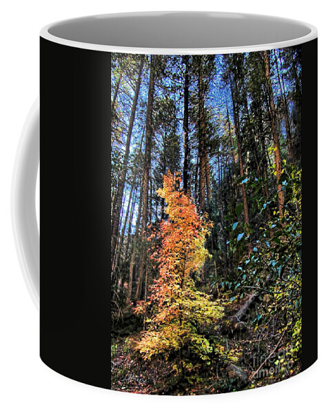 Sedona Coffee Mug featuring the photograph Sedona Secret Canyon by Jennie Breeze