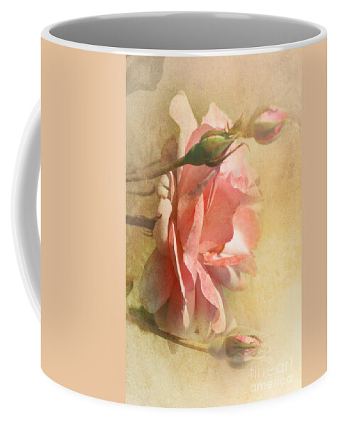 Rose Coffee Mug featuring the photograph September Rose by Elaine Manley