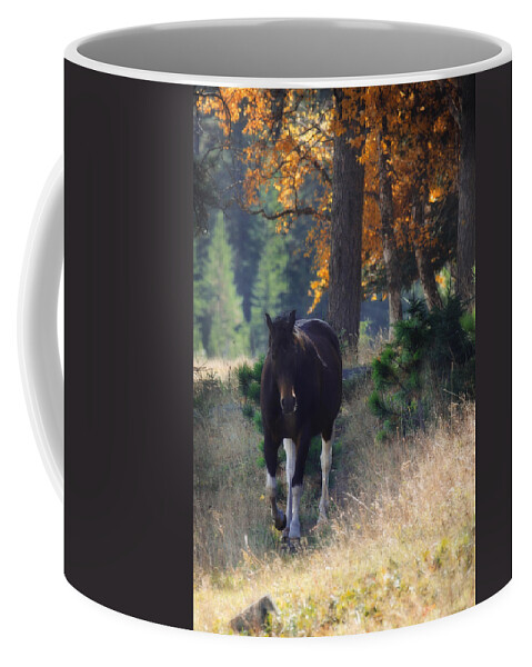 Horse Coffee Mug featuring the photograph September Surrender by Amanda Smith