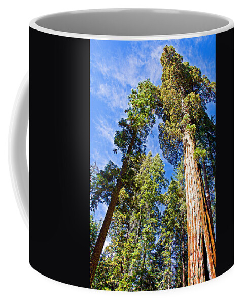 Sequoias Reaching To The Clouds In Mariposa Grove In Yosemite National Park Coffee Mug featuring the photograph Sequoias Reaching to the Clouds in Mariposa Grove in Yosemite National Park, California by Ruth Hager