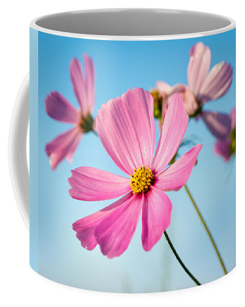 Blue Coffee Mug featuring the photograph Serendipity by Bill Pevlor