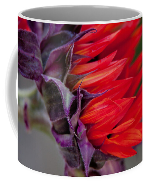 Sunflowers Coffee Mug featuring the photograph Serendipity by Vanessa Thomas