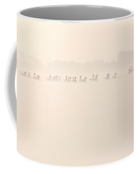 Anser Coffee Mug featuring the photograph Serenity by Roeselien Raimond