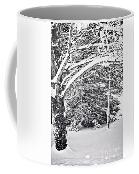 Black And White Photo Coffee Mug featuring the photograph Shades of Gray by Gwen Gibson