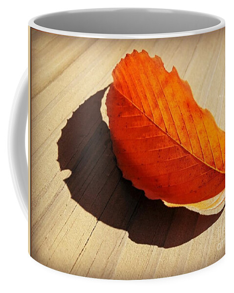 Leaf Coffee Mug featuring the photograph Shadow Cast By Leaf by Beth Ferris Sale