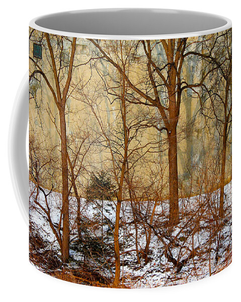 Trees Coffee Mug featuring the photograph Shadows in the Urban Jungle by Nina Silver
