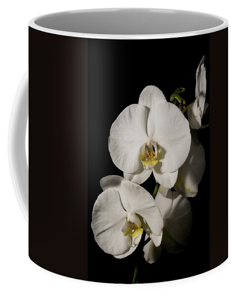 Moth Orchids Coffee Mug featuring the photograph Shadowy Orchids by Ron White