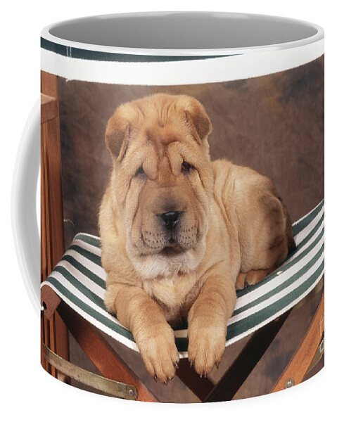Dog Coffee Mug featuring the photograph Shar Pei On Chair by John Daniels